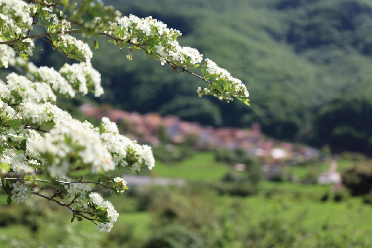 Affittacamere Naquela Castroviejo Esterno foto